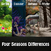  Four Seasons Differences