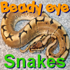 BeadyEye:Snakes