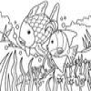 Coloring Fishes -1