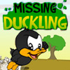 Missing Duckling