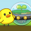 Take Seedling Home
