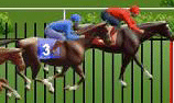 Whack a Horse Race