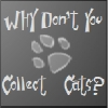 Why don't you collect cats?
