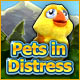 Pets in Distress