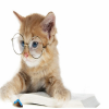 Cute Cat With Glasses Puzzle