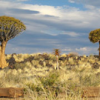 Namibia Jigsaw